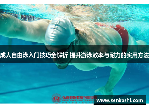 成人自由泳入门技巧全解析 提升游泳效率与耐力的实用方法